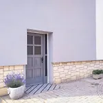 The - *