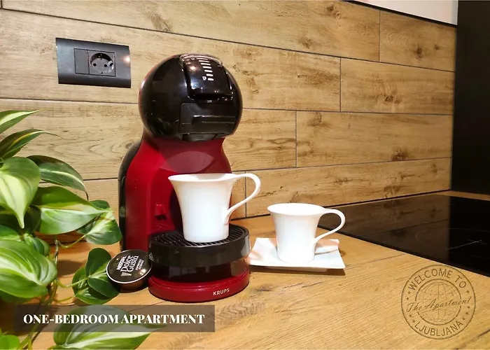 Apartament The - Lublana